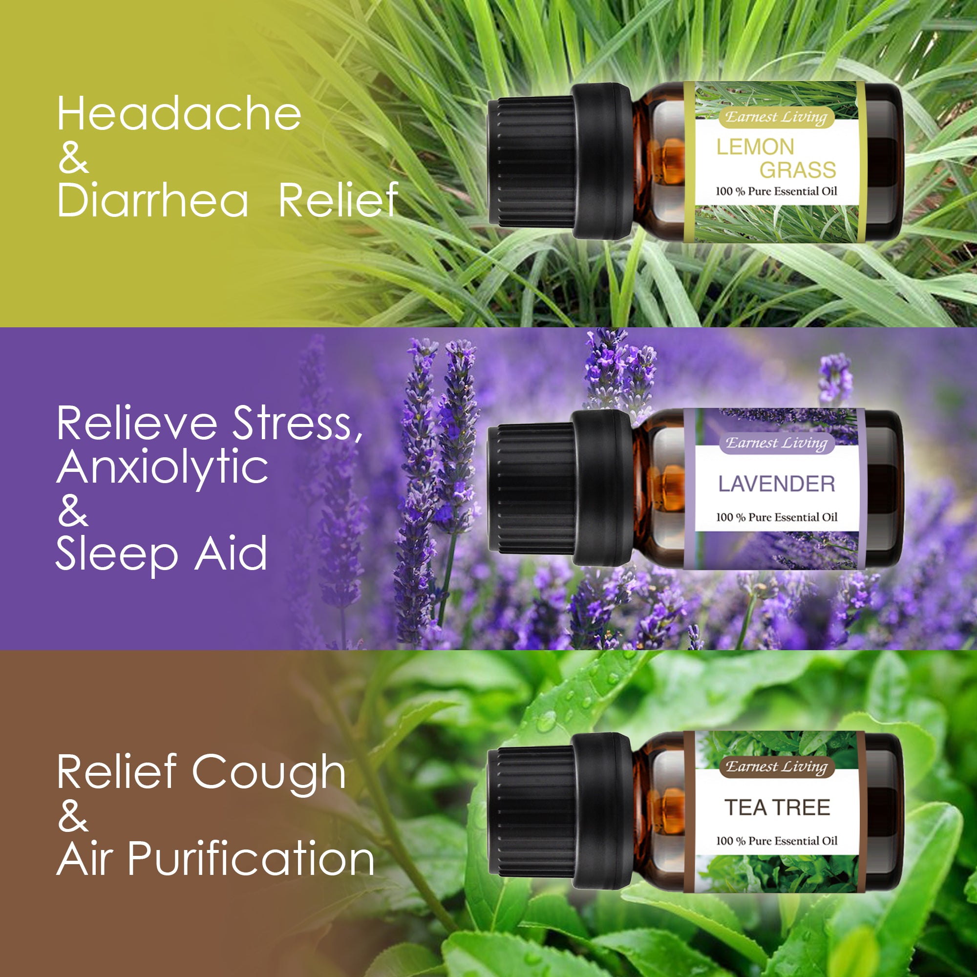Earnest Living Tea Tree Oil Peppermint Oil Lavender Oil Essential Oil Set for Diffusers for Home Oil Diffuser Essential Oils Eucalyptus Essential Oil