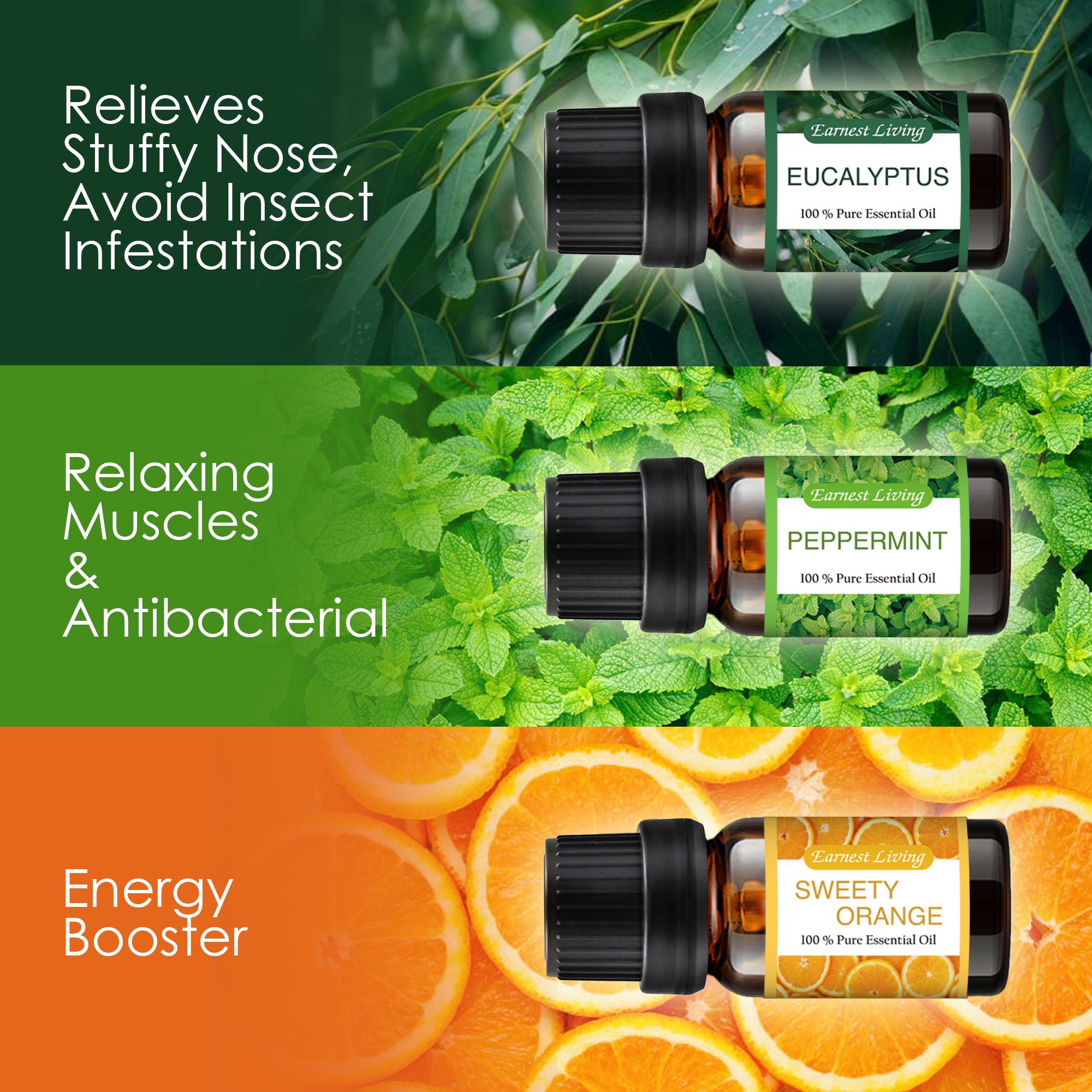 Earnest Living Tea Tree Oil Peppermint Oil Lavender Oil Essential Oil Set for Diffusers for Home Oil Diffuser Essential Oils Eucalyptus Essential Oil